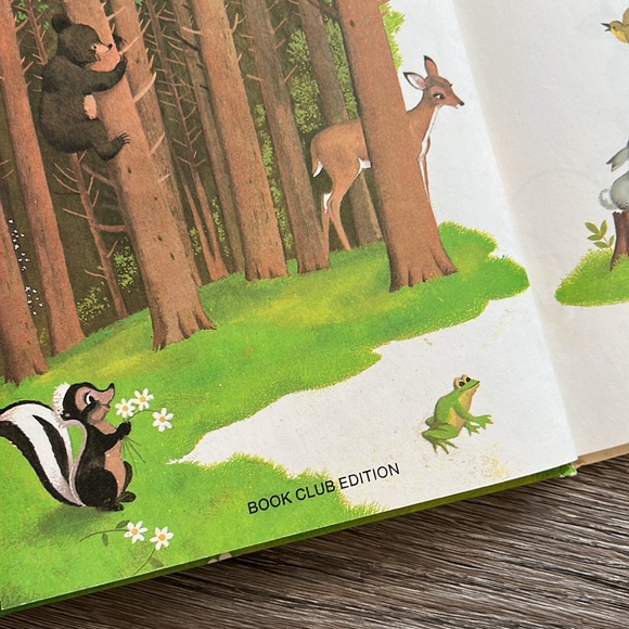 VINTAGE Disney book 1970’s Bambi Gets Lost. Wonderful world of reading. - Picture 9 of 11